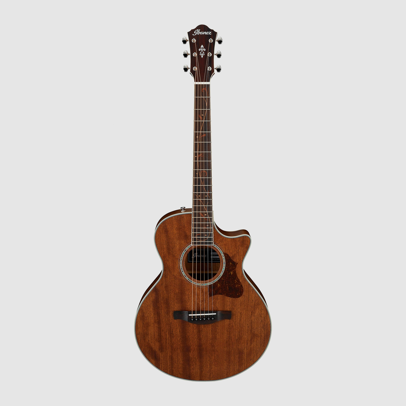 Ibanez AE245-NT